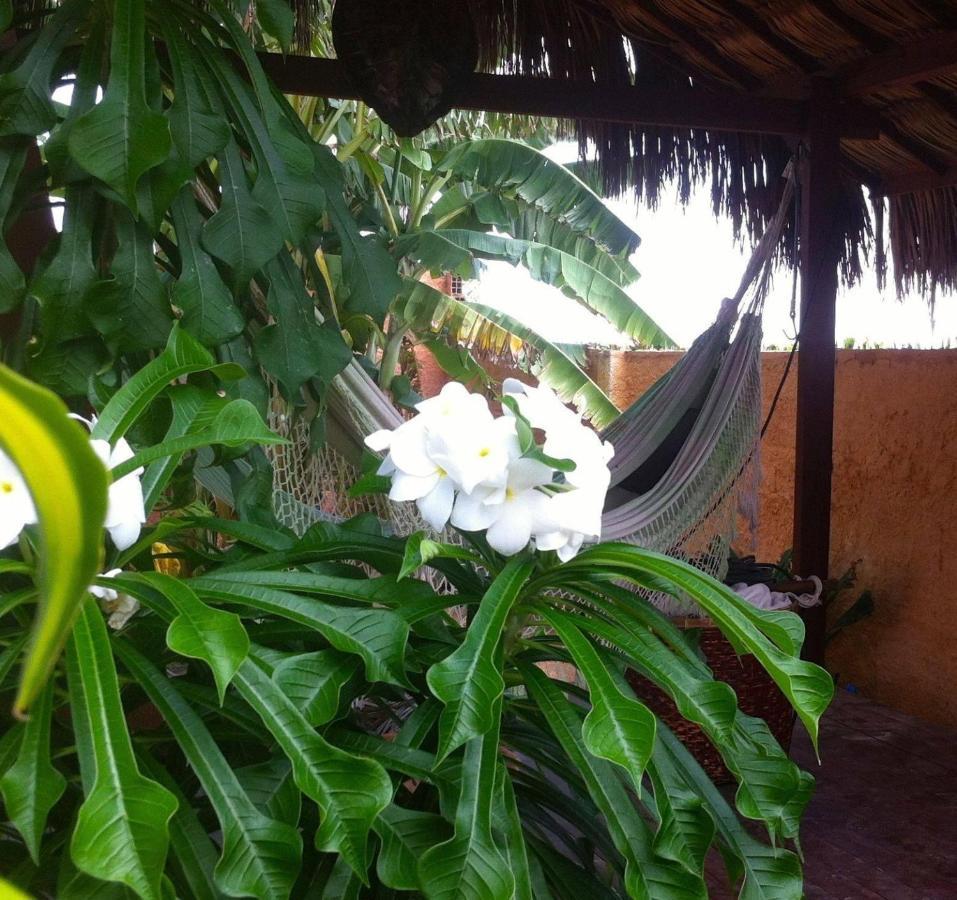 Casa Do Jardim Bed and Breakfast Canoa Quebrada Buitenkant foto