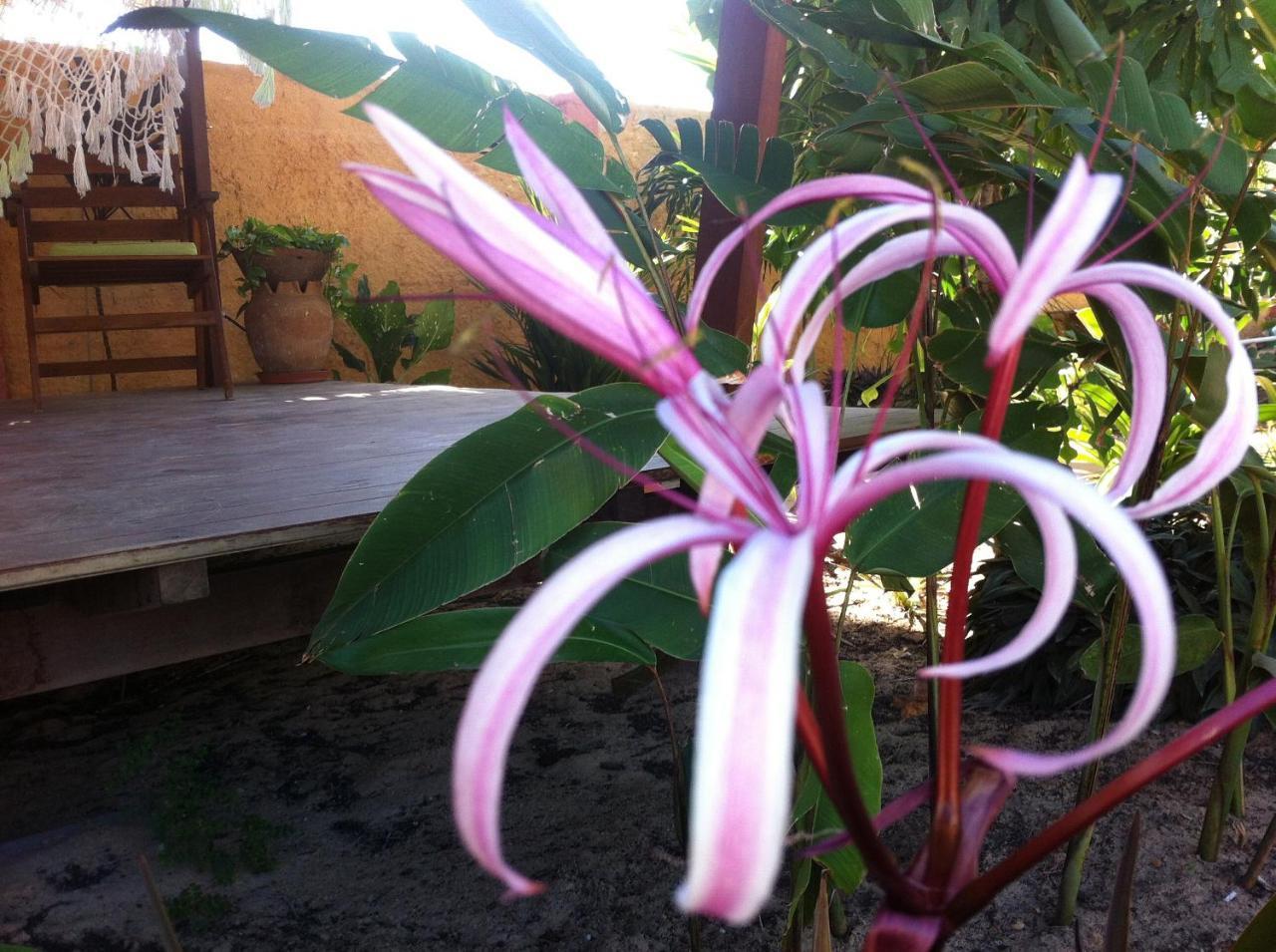 Casa Do Jardim Bed and Breakfast Canoa Quebrada Buitenkant foto